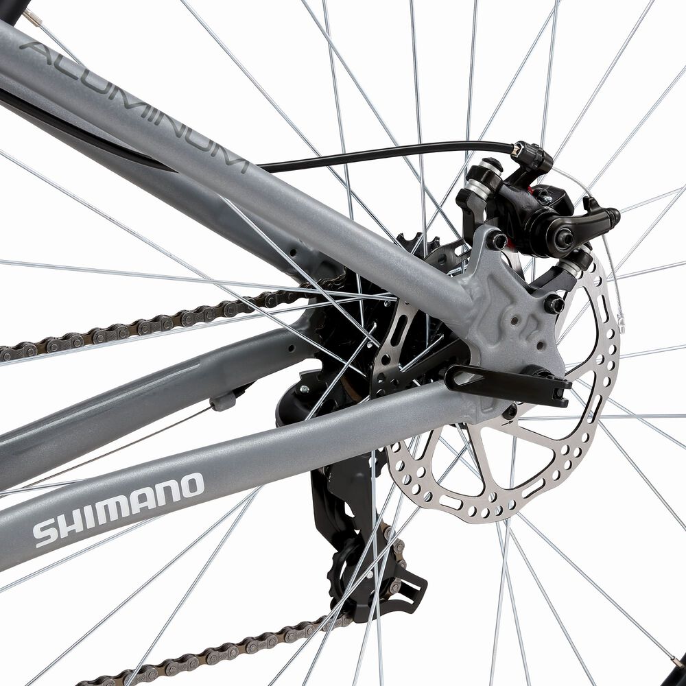 Oxford Everest Aro 29 21V M Plata, foto 5