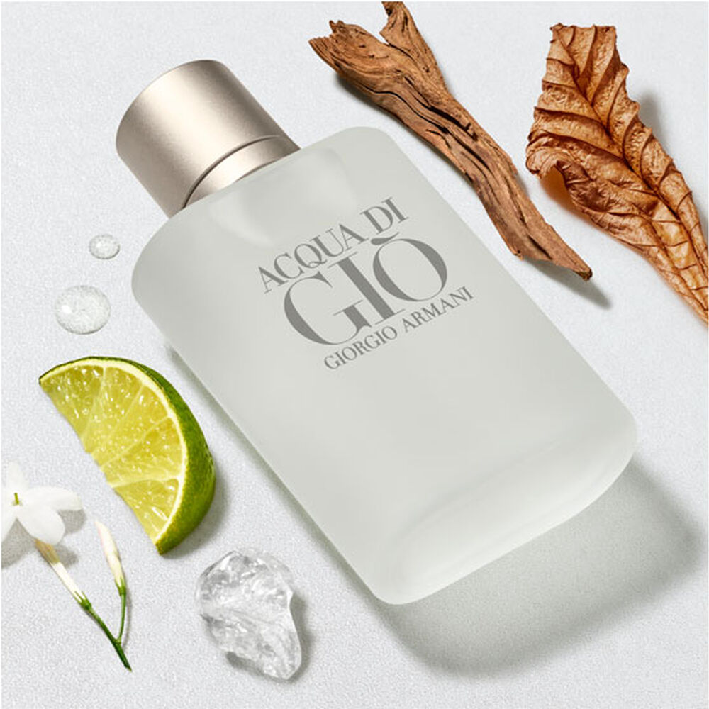 Acqua Di Gio 100 Ml Edt Giorgio Armani Hombre image number 2.0