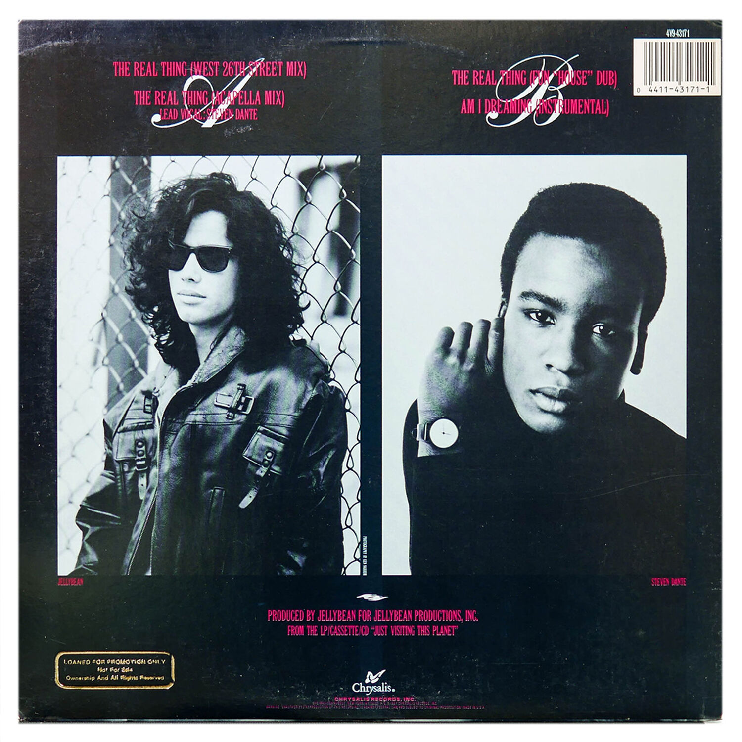 Jellybean - The Real Thing | 12" Maxi Single Usado image number 1.0