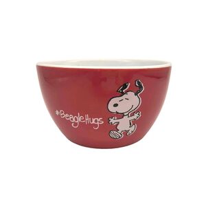 Bowl Snoopy Set De Bowls / 1 Pieza