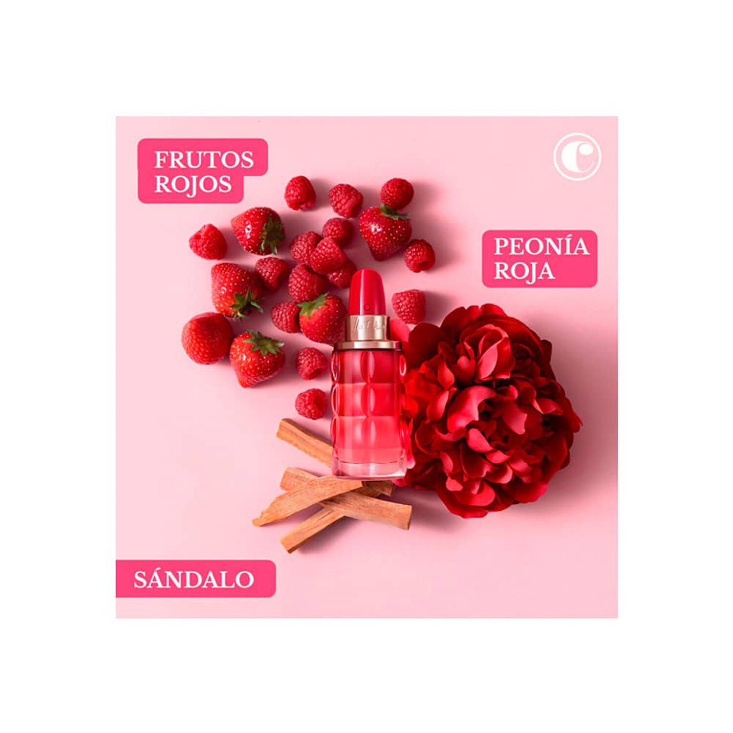 Yes I Am Bloom Up ! 75 Ml Edp Cacharel image number 2.0