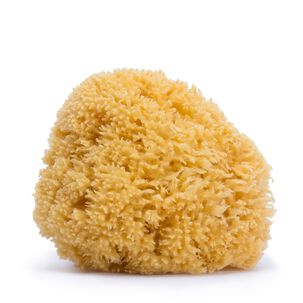 Esponja Natural Grande