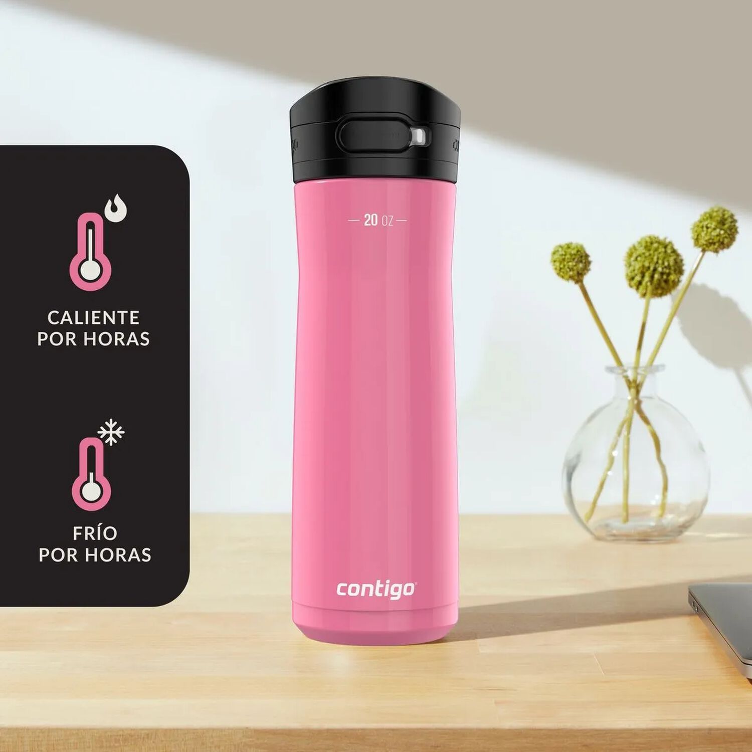 Contigo Jackson Chill 2.0 Autopop Botella De Agua Acero Inoxidable 590ml - Rosado image number 8.0