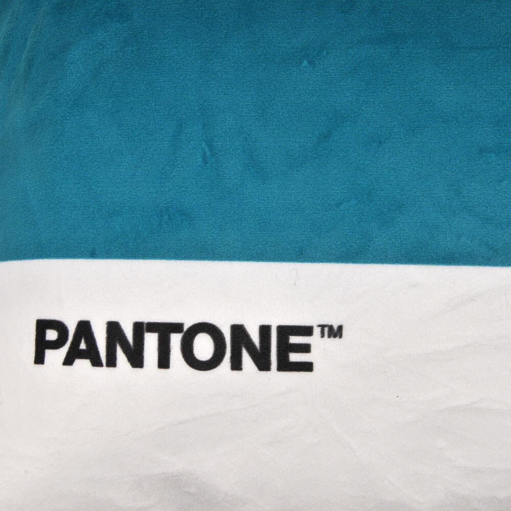 Cojin Pantone Pantone / image number 1.0