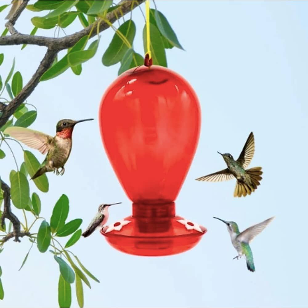 Bebedero Colibr&iacute; Picaflor Rojo 1l Aves image number 4.0