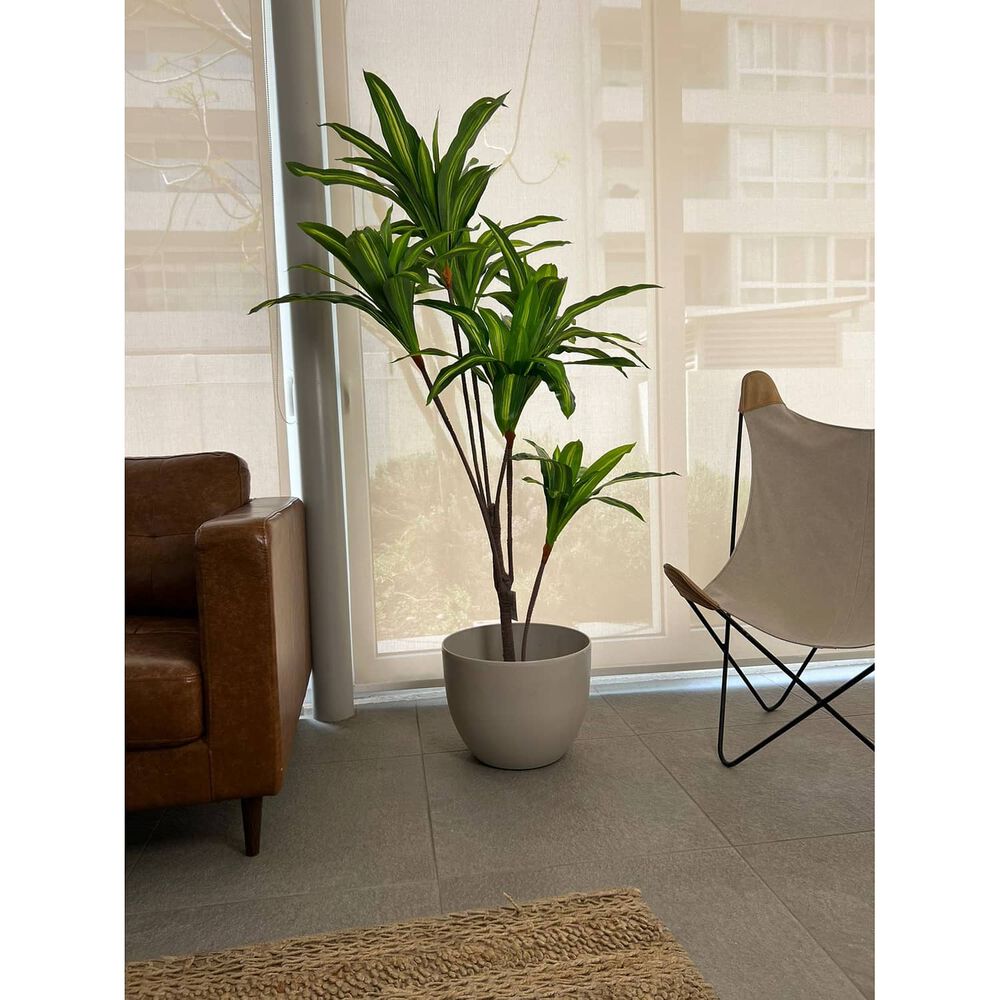 Planta Artificial Dracaena Premium 165 Cm./ 90 Hojas image number 1.0