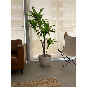 Planta Artificial Dracaena Premium 165 Cm./ 90 Hojas
