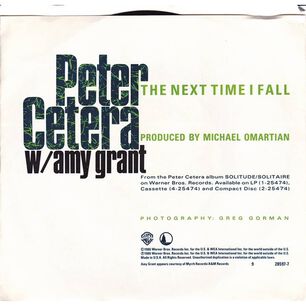 Peter Cetera Ft. Amy Grant - The Next Time I Fall/glory Of Love | 7" Single Vinilo Usado