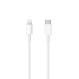 Cable De Datos Apple Lightning A Usb-c Original 2mt