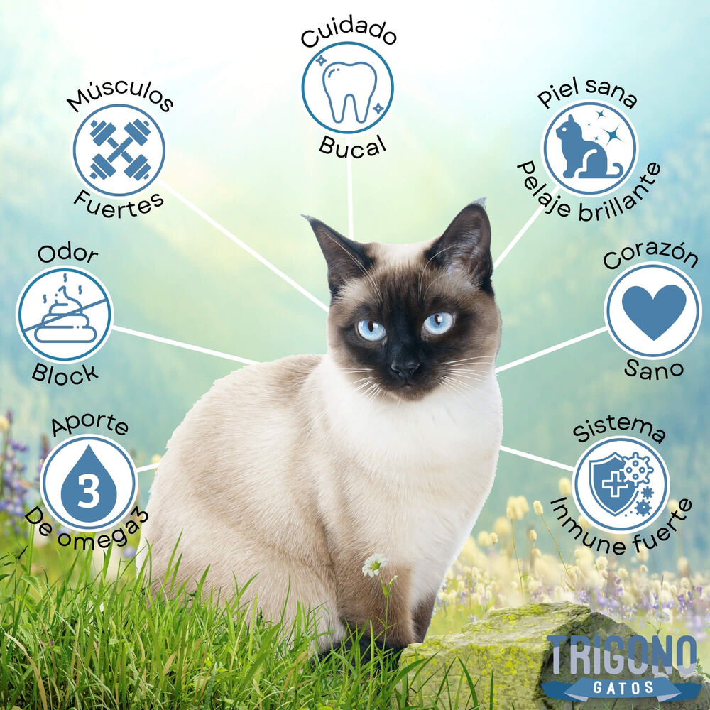 Alimento Para Gato Adulto Trigono 10kg image number 1.0