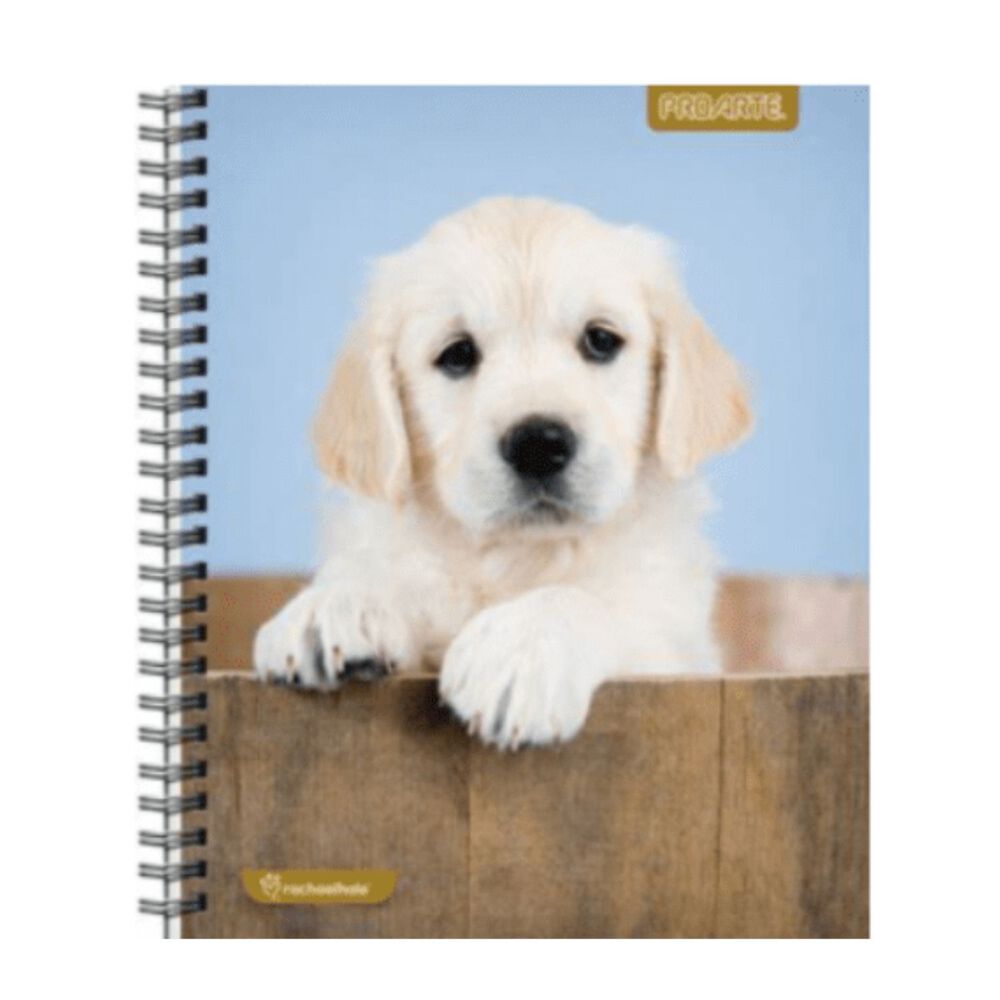 Pack 6 Piezas Cuadernos Espiral Cachorros Gatos Perros image number 5.0