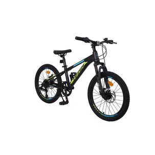 Bicicleta Totem Mtb Aro 20 Modelo Sailing Negro