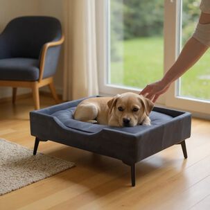 Cama De Mascotas - Talla S (55x40 Cm) / Pata Metalica 12 Cm (negro)