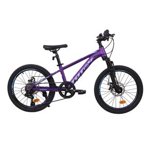Bicicleta Totem Mtb Aro 20 Modelo Sailing Morado