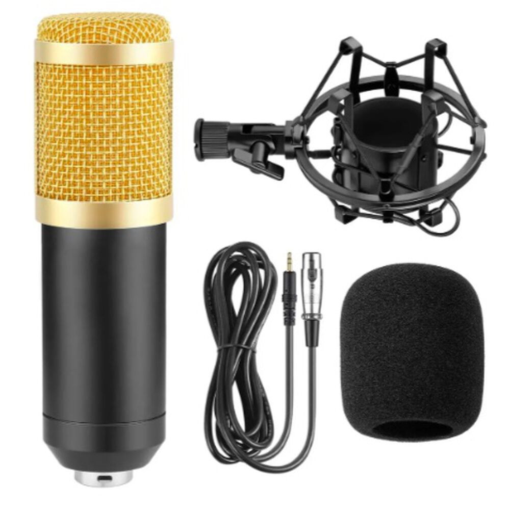 Micr&oacute;fono Estudio Condensador Profesional + Brazo image number 2.0