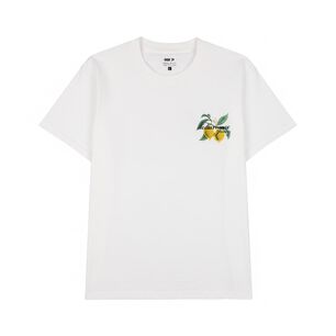 Polera Hombre Rolly Go