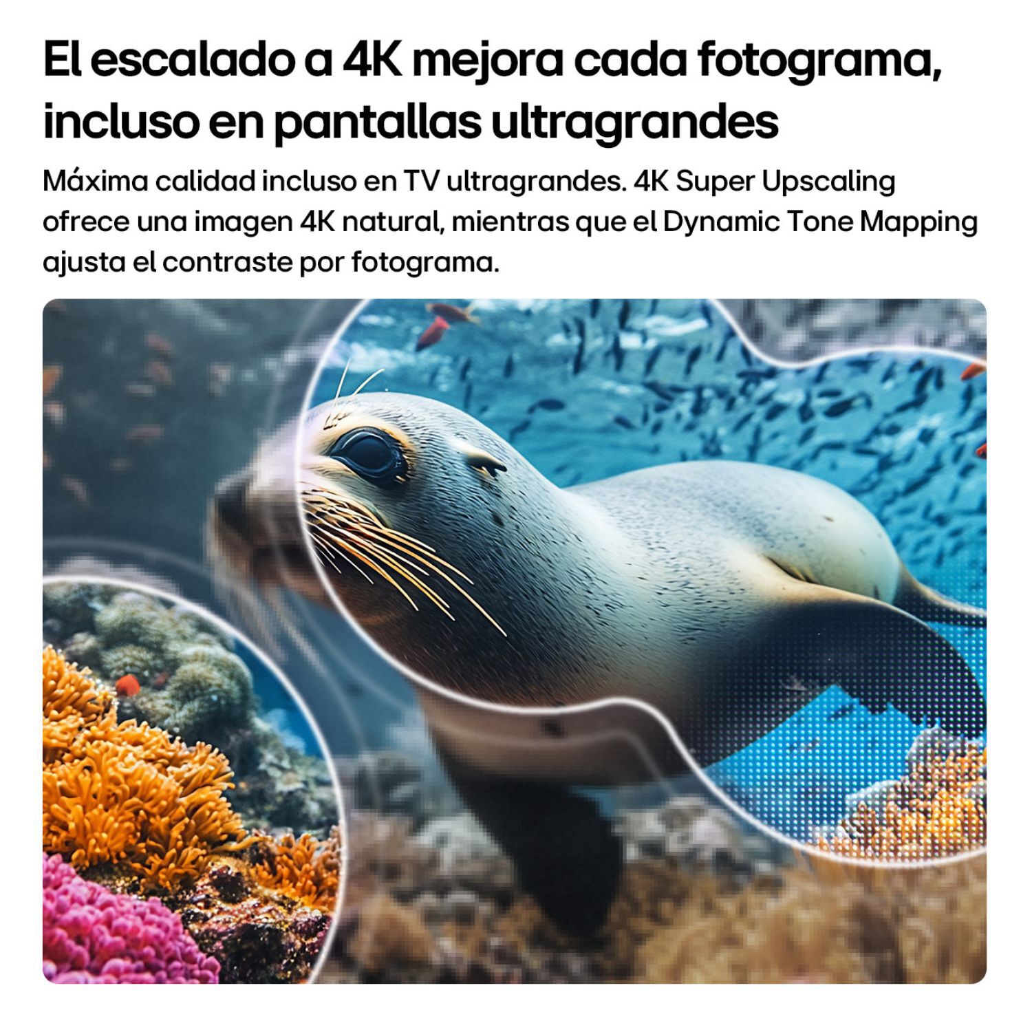 Led 75" LG 75NU800BPSB / Ultra HD 4K / Smart TV image number 6.0