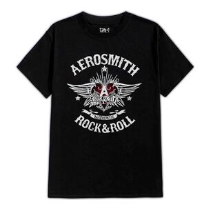 Polera Estampada Aerosmith Logo