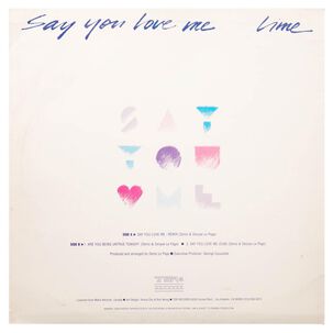 Lime - Say You Love Me | 12" Maxi Single Usado