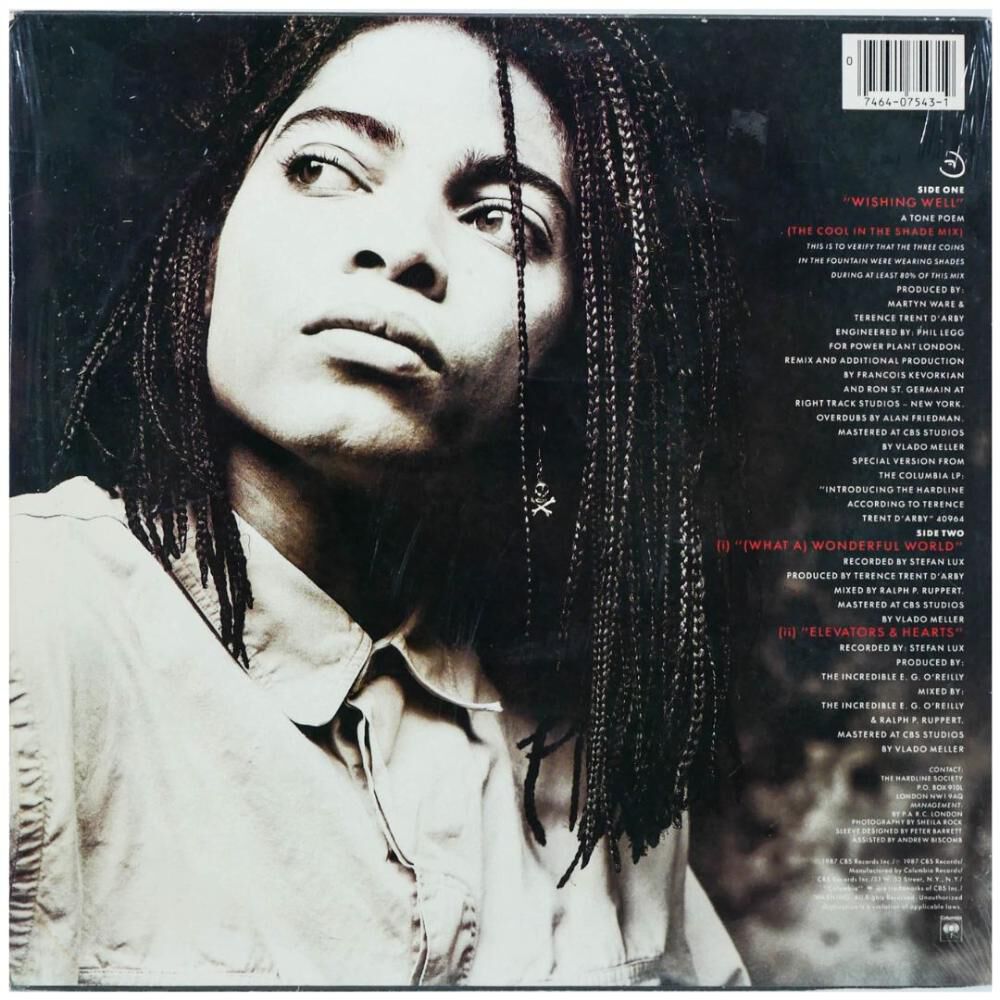 Terence Trent D'arby - Wishing Well | 12" Maxi Single Usado image number 1.0