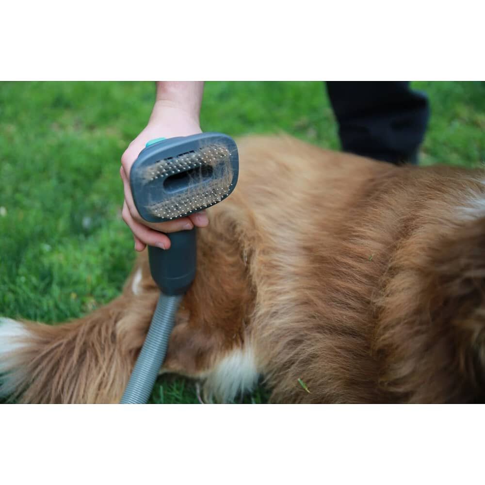 Cepillo Para Mascotas Pet Brush Aspiradora Inal&aacute;mbrica X5-full Primaterm image number 4.0