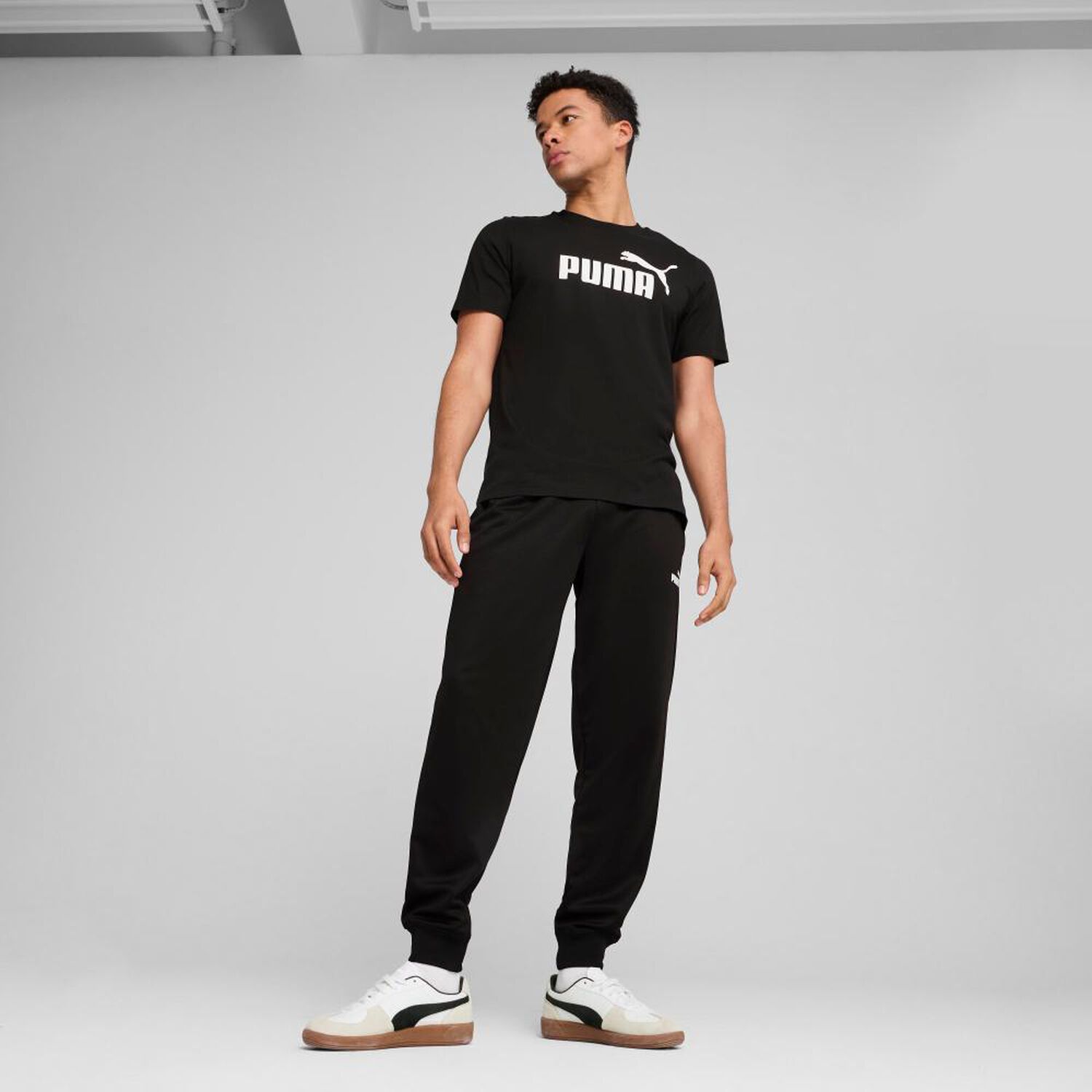 Polera Deportiva Hombre Puma image number 4.0