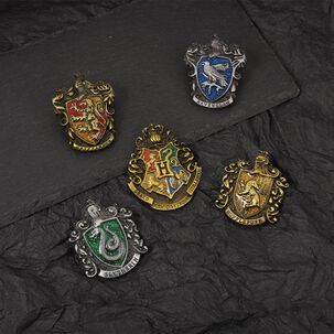 Set 5 Pines Broches En Caja Harry Potter