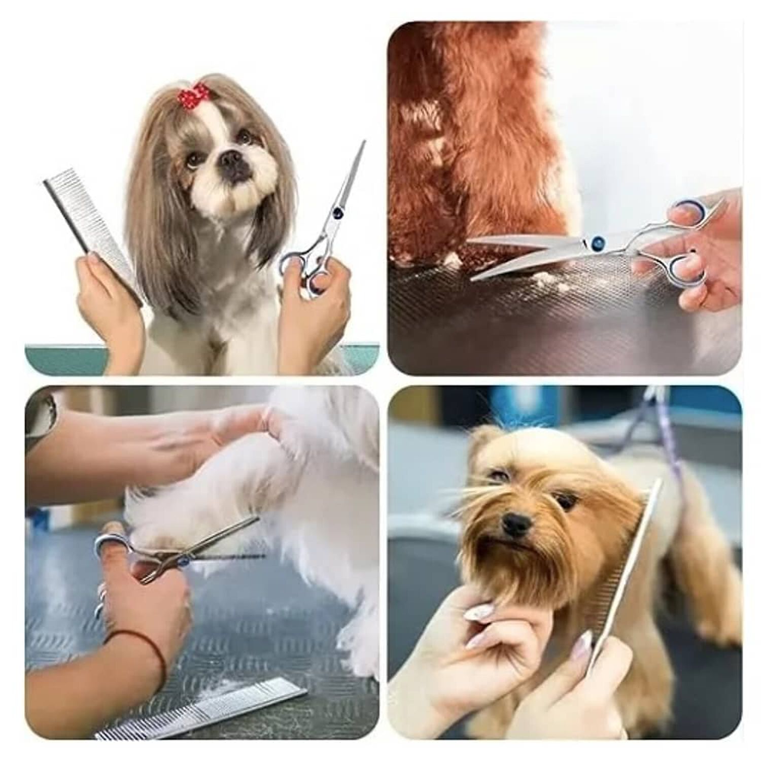 Set De Tijeras Peluquer&iacute;a Canina Perros Corta Pelo 4 Tijeras image number 1.0