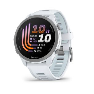 Smartwatch Forerunner 170 Music Whitestone/cloud Blue Garmin