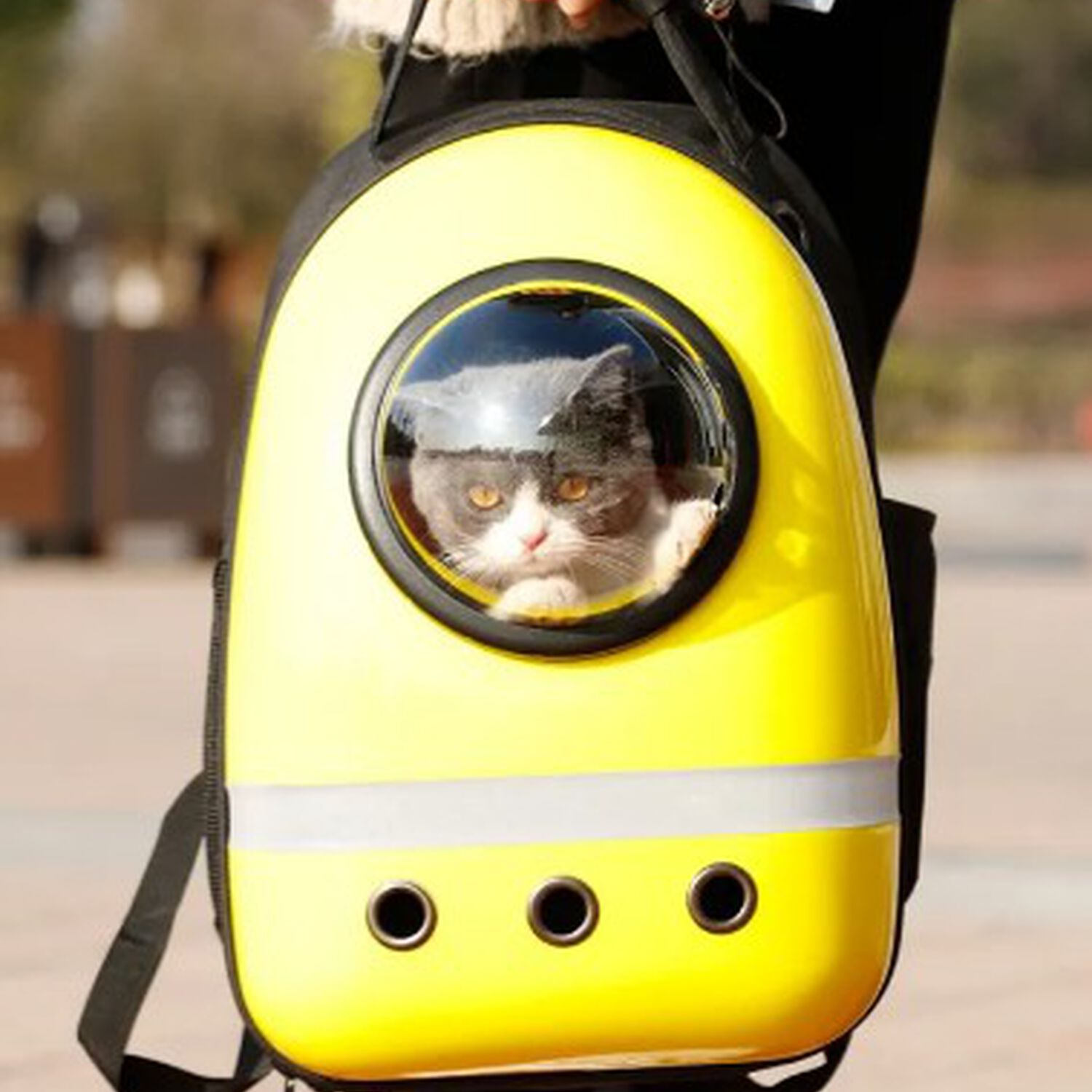 Mochila Bolso Transportes Transparente Mascotas Perros Gatos image number 3.0