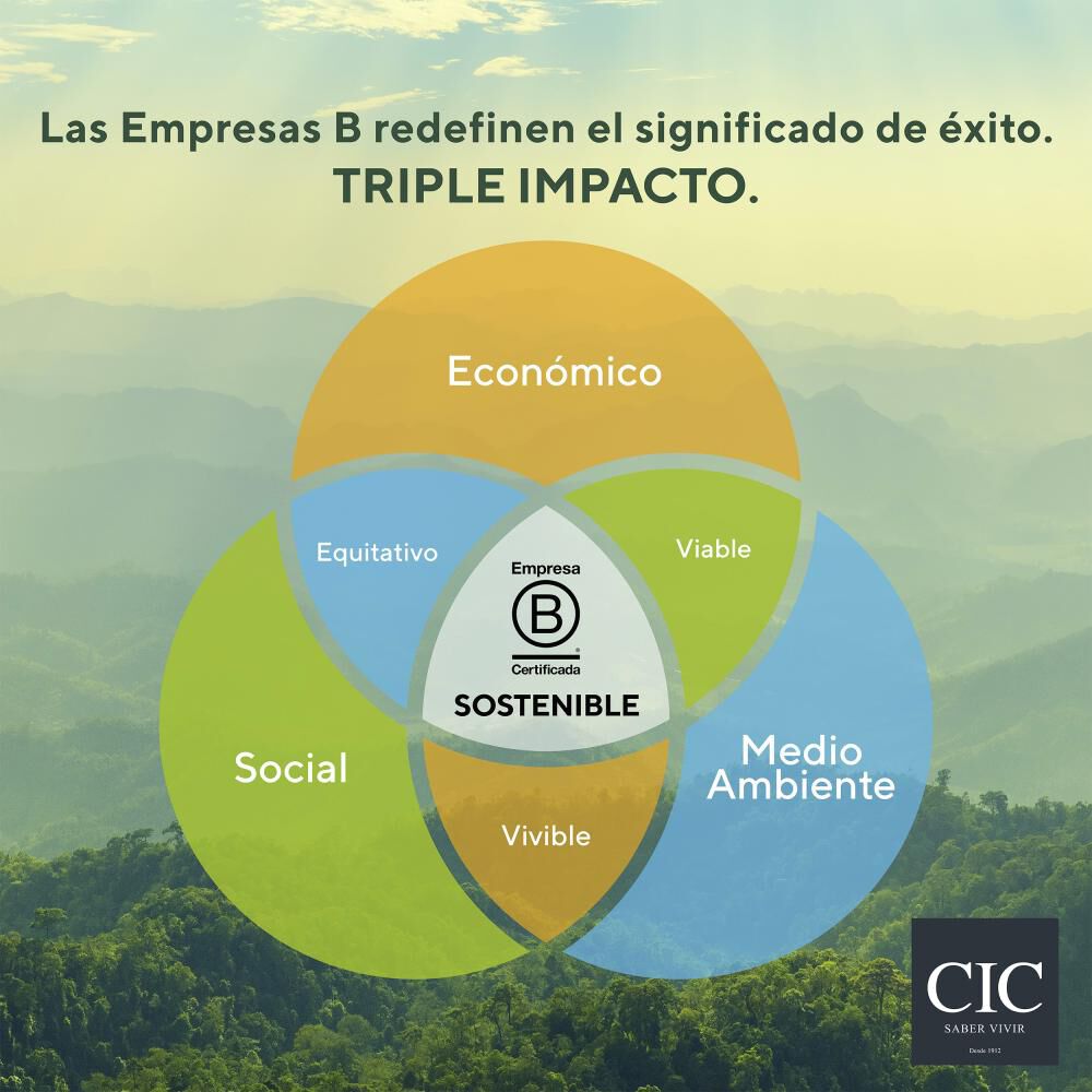 Respaldo Cic Villarrica / King image number 5.0