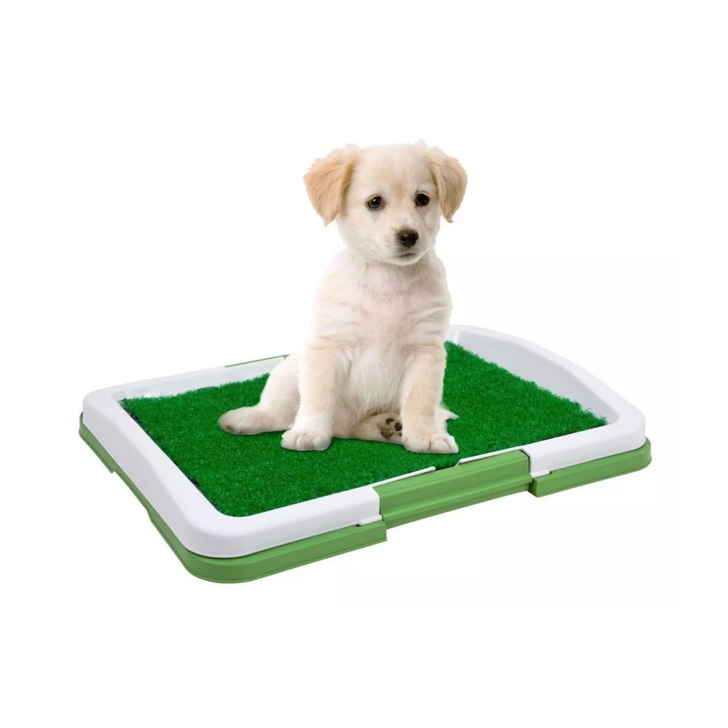 Ba&ntilde;o Entrenamiento Ecol&oacute;gico Perros Mascotas Lavable 47x34x6 Cm image number 4.0