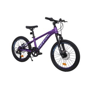 Bicicleta Totem Mtb Aro 20 Modelo Sailing Morado