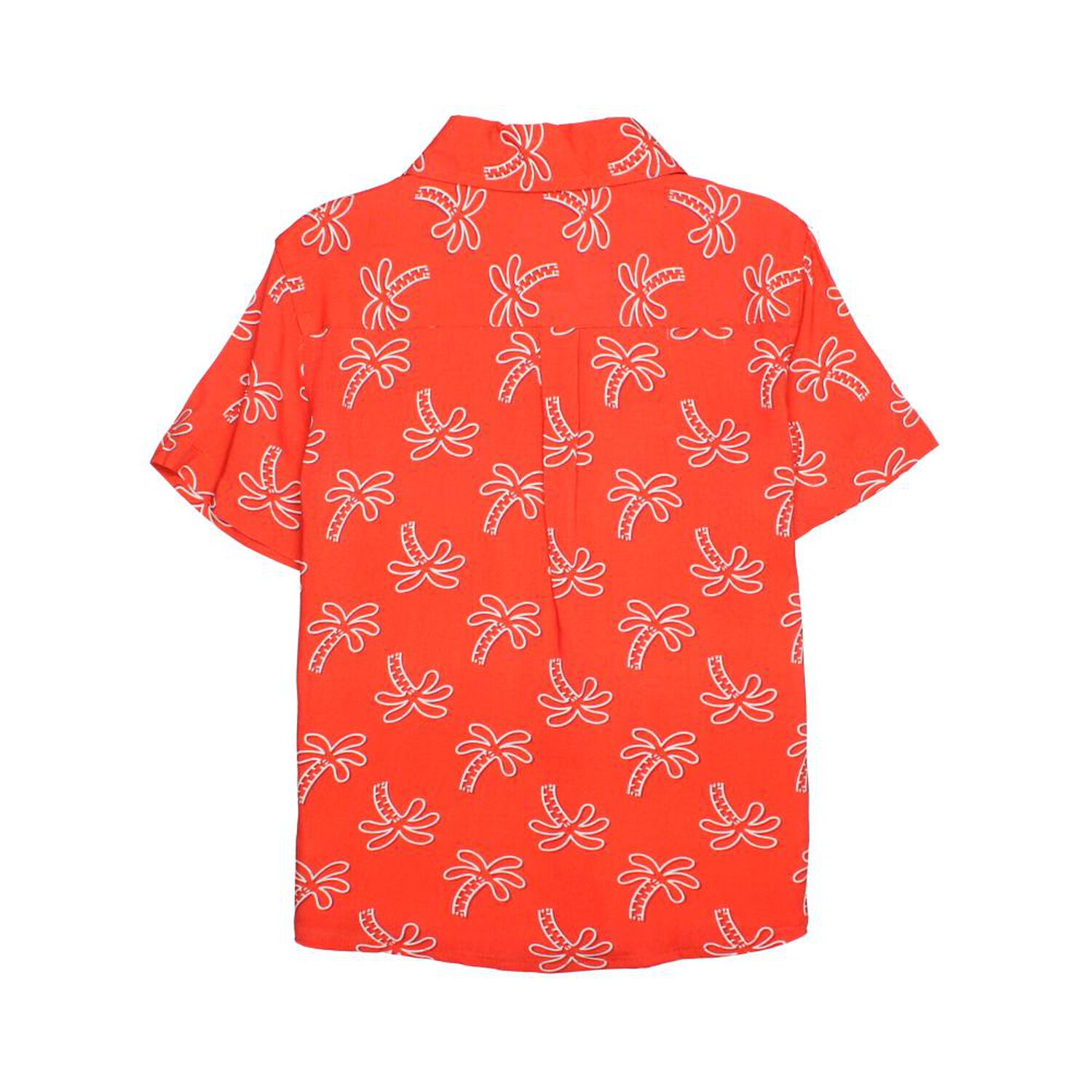 Camisa Ni&ntilde;o Topsis image number 1.0