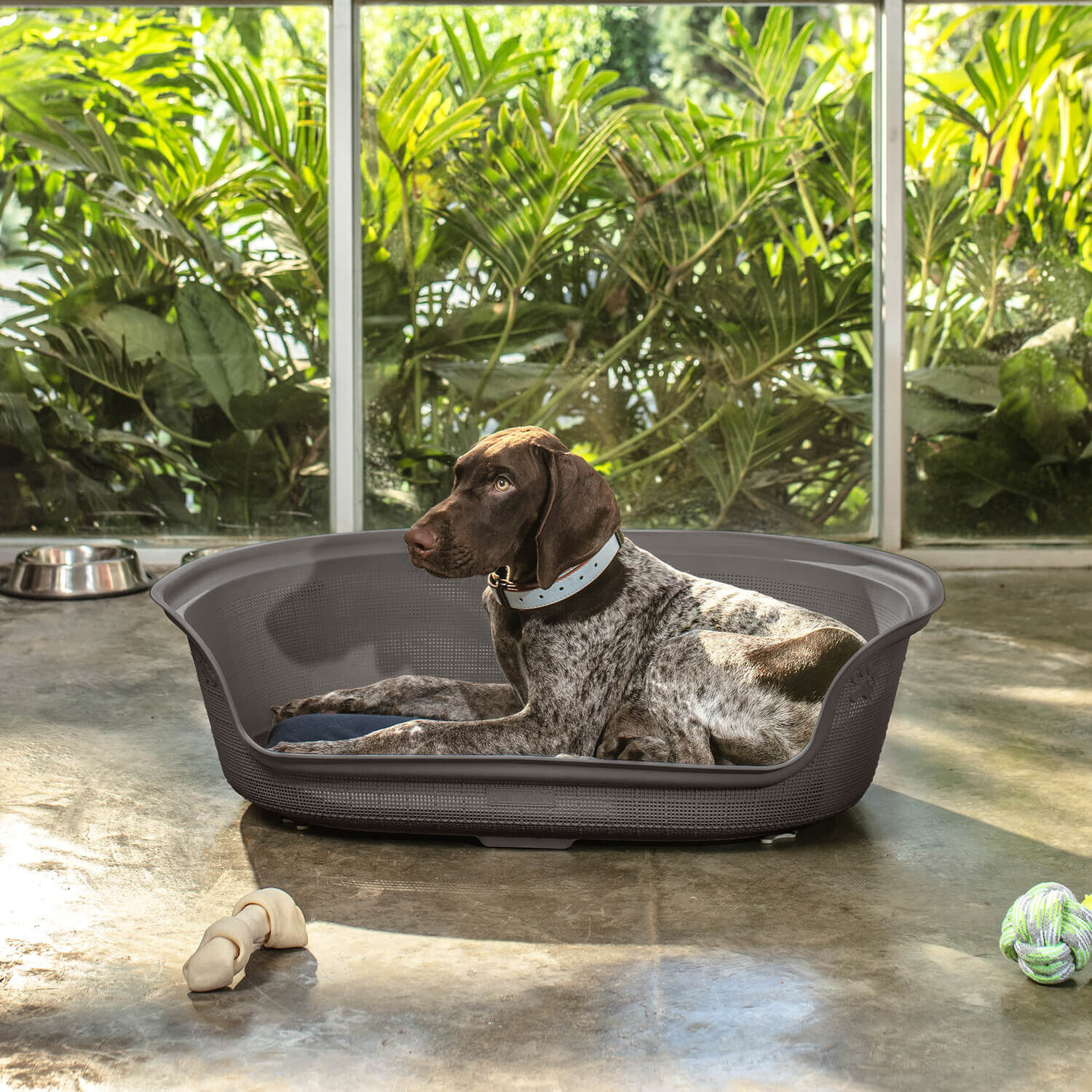 Cama De Mascota Plastico Con Cojin Caf&eacute; 77x54x23 Cm Rimax image number 3.0