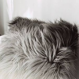 Set De 2 Cojines De Pelo Largo Degrade