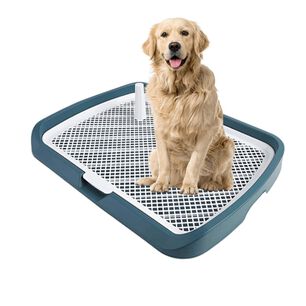 Ba&ntilde;o Inodoro De Entrenamiento Para Perros Con Pilar Urinario