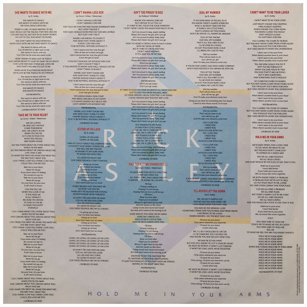 Rick Astley - Hold Me In Your Arms | Vinilo Usado image number 3.0