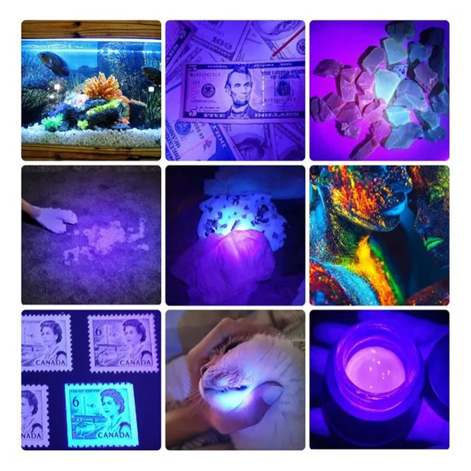 Linterna Tipo Lapiz Led Luz Uv Ultravioleta Laser Recargable Usb De Bolsillo image number 3.0