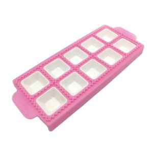 Molde Para 10 Ravioli