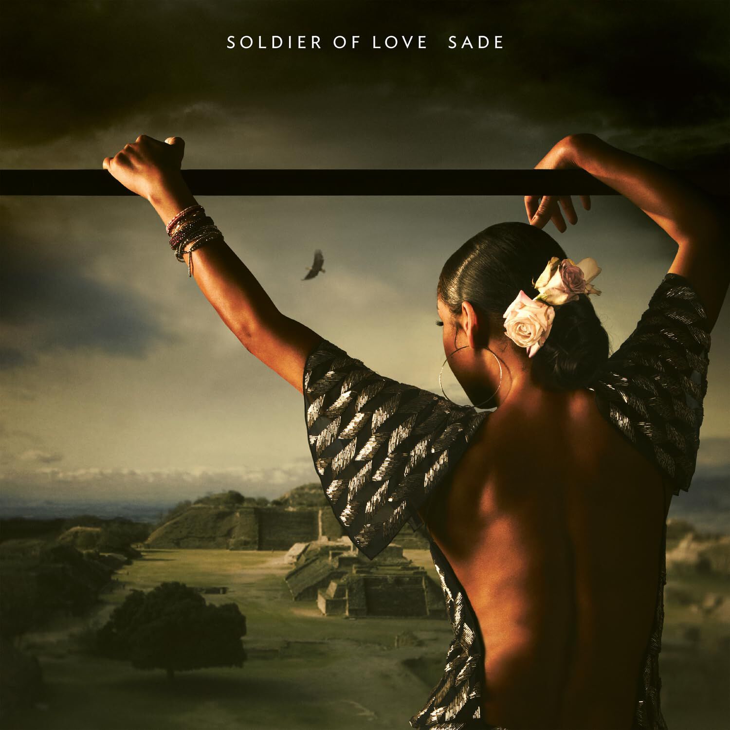 Sade - Soldier Of Love | Vinilo image number 0.0