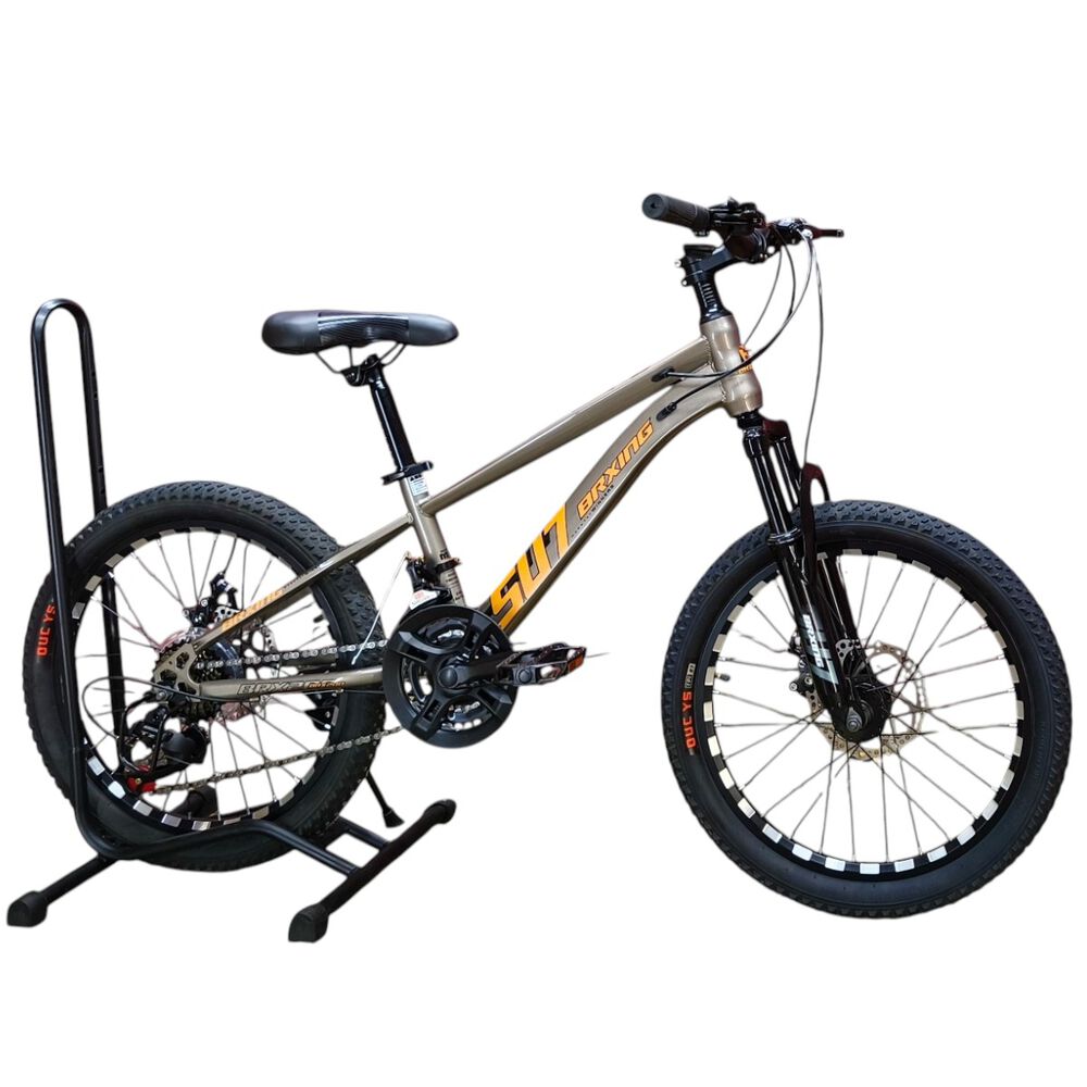 Bicicleta Aro 20 Brxing Con Freno Disco Y 21 Vel. Gris Log Naranjo image number 1.0