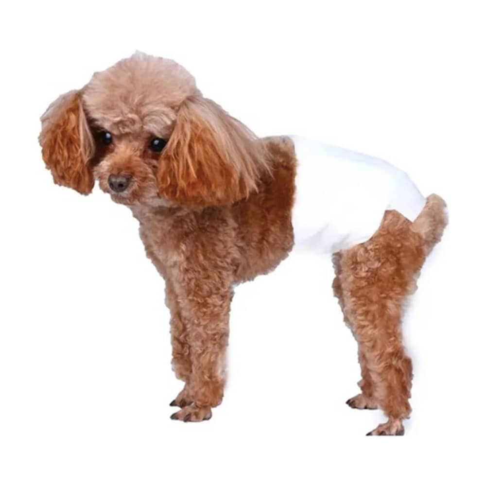 25 Pa&ntilde;ales Perros/gatos Macho M image number 5.0