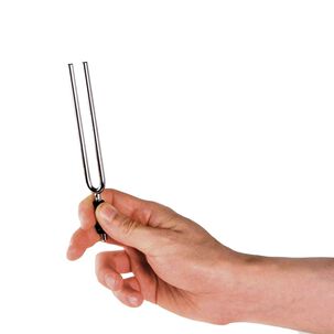 Diapas&oacute;n Afinador De Horquilla Pwtf-a Daddario