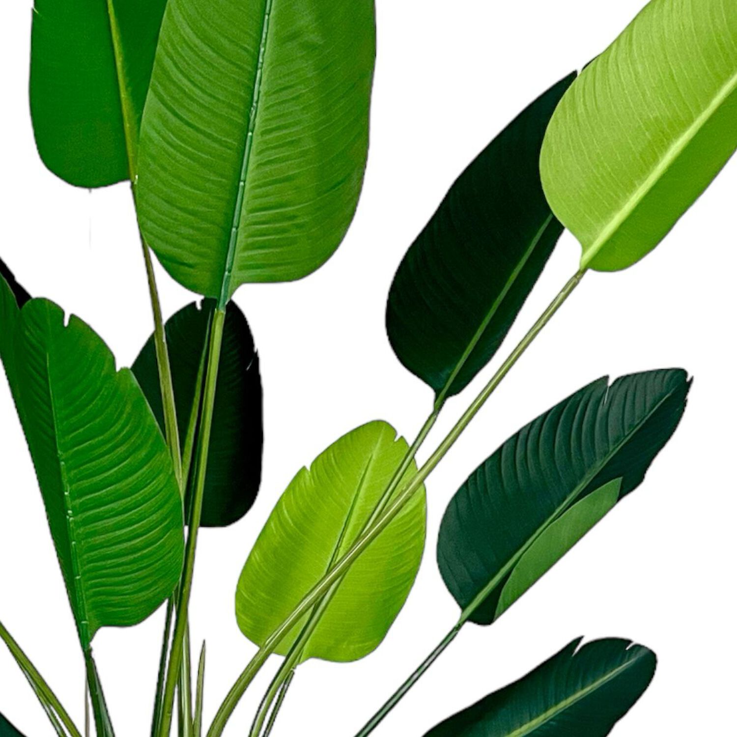 Planta Artificial Ave Del Paraiso 180 Cm. / 12 Hojas image number 2.0