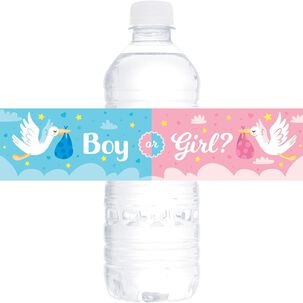 10 Etiquetas De Botella Agua Para Revelación Baby Shower