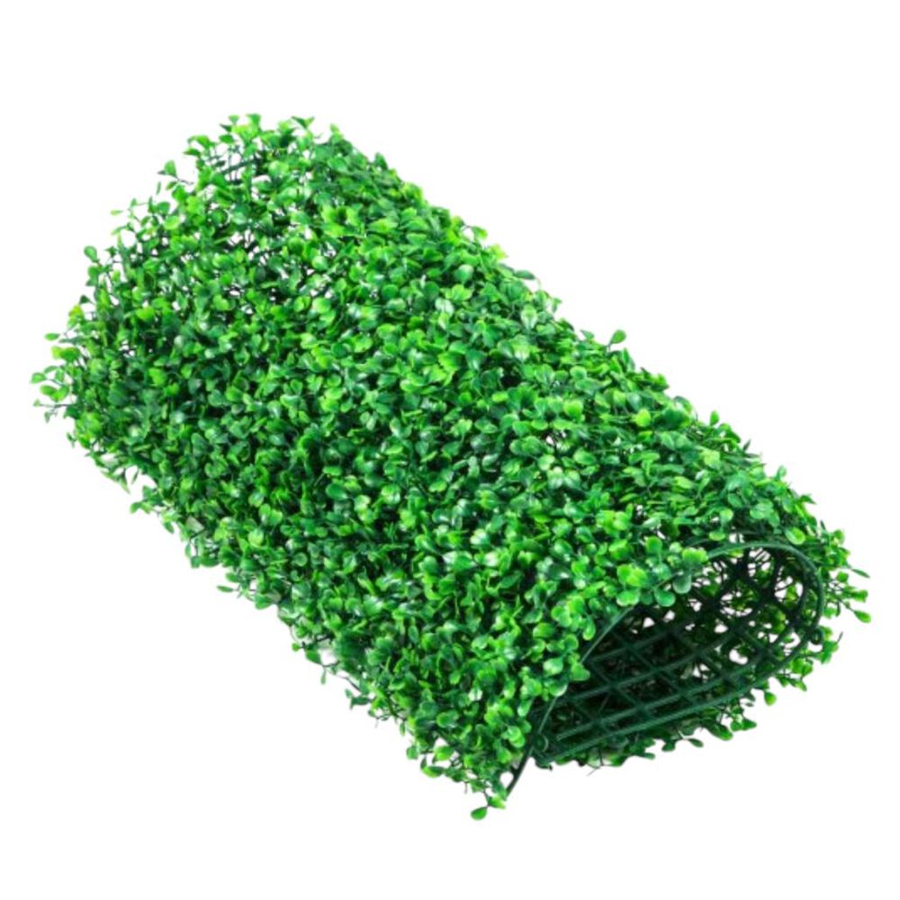 Pasto Para Decorasion image number 0.0