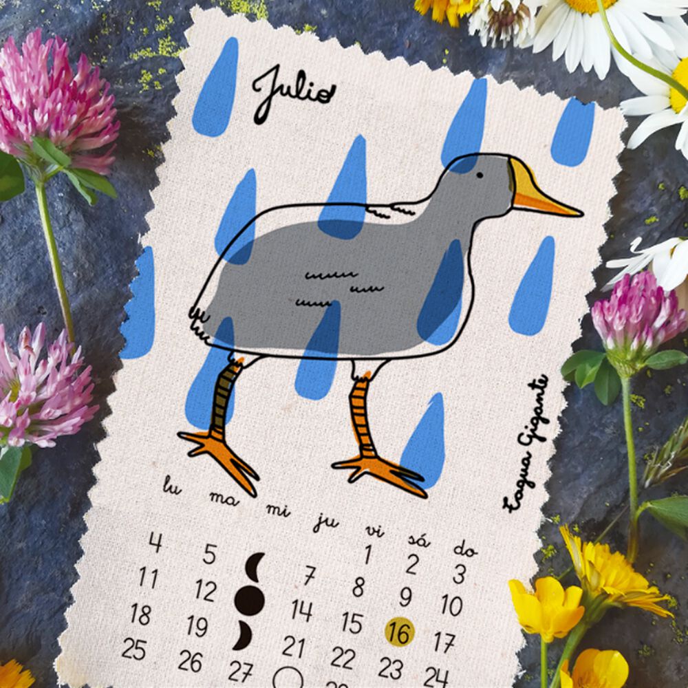 Calendario 2022 Aves Pajarito De Mimbre image number 7.0