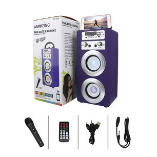 Parlante Karaoke Hip-hop / Mic Sp-k08 Morado