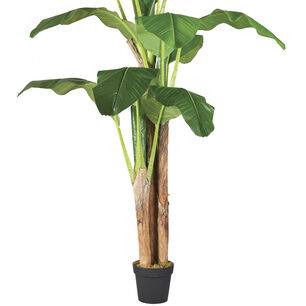 Planta Artificial Banano Premium 180 Cm. / 14 Hojas / Arbusto Real